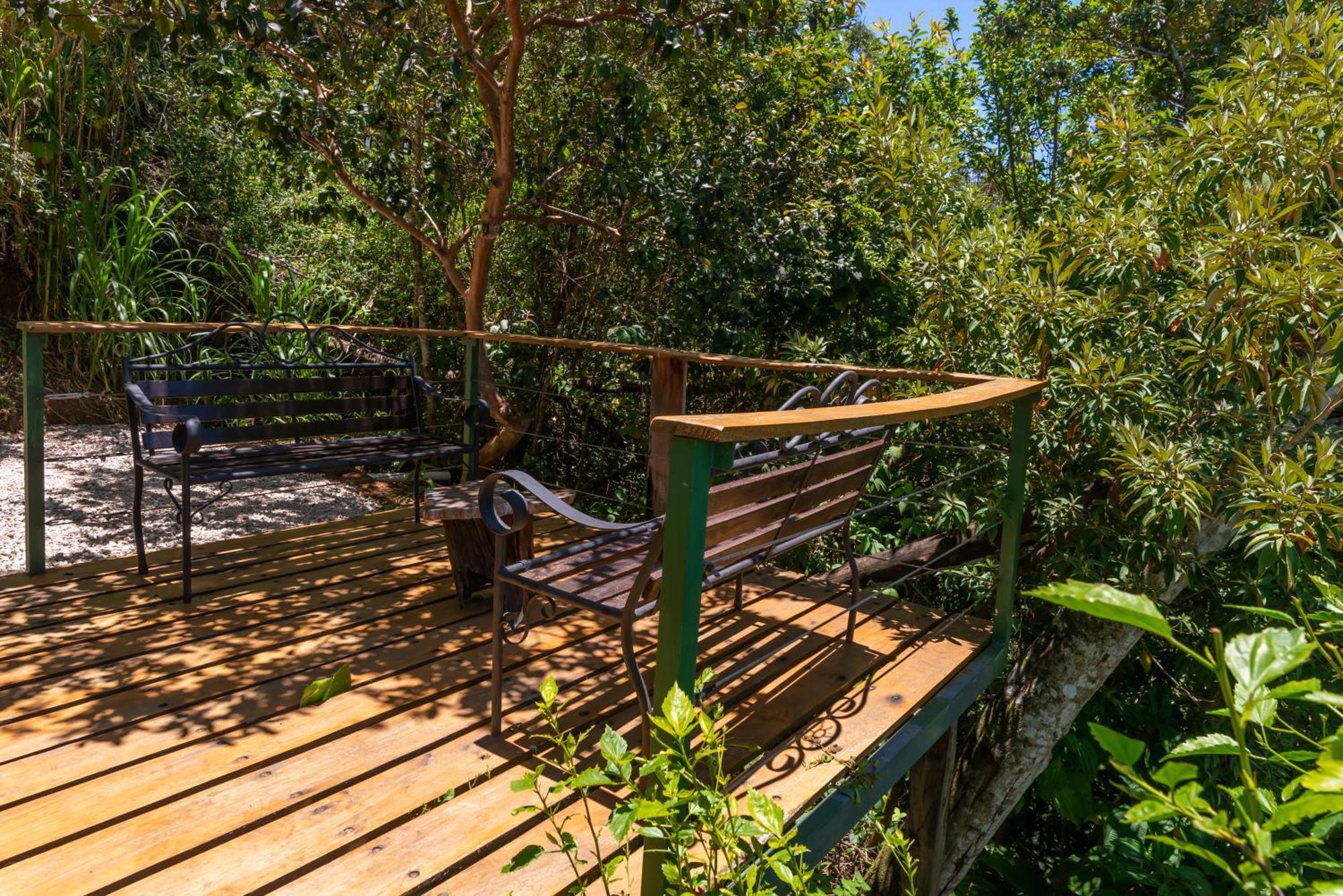 Cabinas Capulin & Farm Monteverde 外观 照片